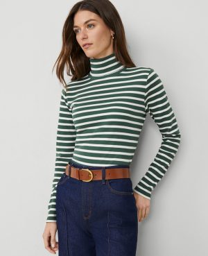 Petite Weekend Collection Striped Turtleneck Top