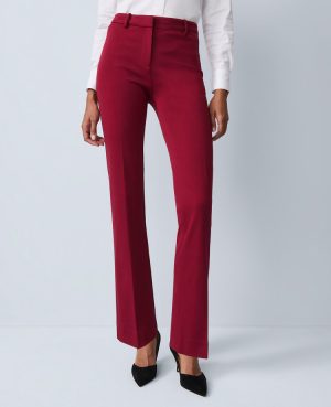 The Sophia Pant in Ponte