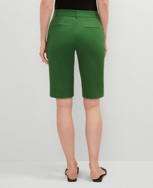 The Petite Boardwalk Short – Curvy Fit