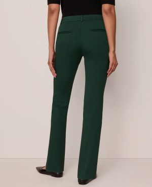 The Sophia Pant &mdash; Curvy Fit