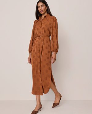 Belted Midi Shirtdress