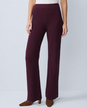 Petite Weekend Collection Waffle Sweater Pant