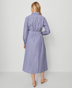 Striped Collared Midi Shirtdress