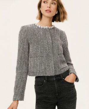 Petite Embellished Herringbone Cropped Jacket